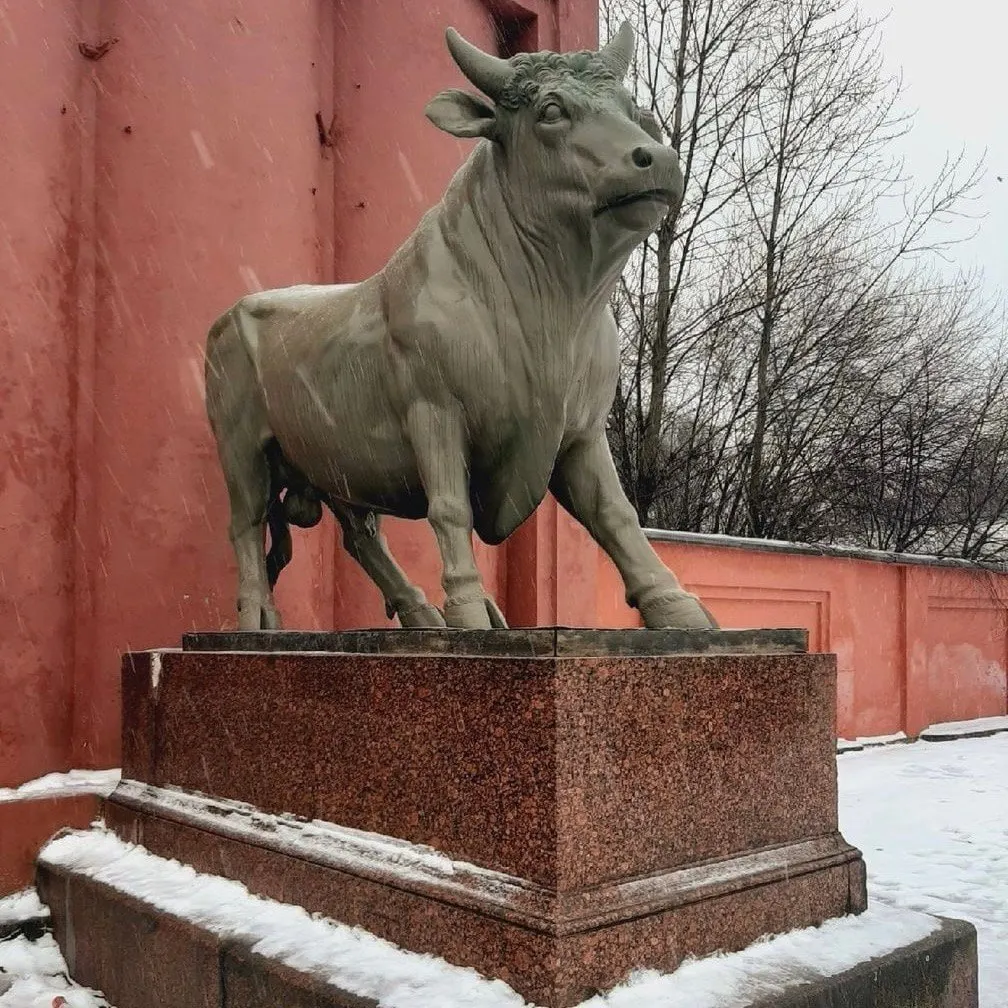 Минкульт сообщил об отсутствии оснований для переноса бронзовых быков на Обводный канал; жители района Средняя Рогатка продолжают выступать против проекта, реставрация скульптур идёт.