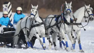Помощник президента Владимир Мединский призвал придать «русской тройке» статус национального вида спорта, напомнив о недавнем включении конных скачек в упряжке во Всероссийский реестр видов спорта.
