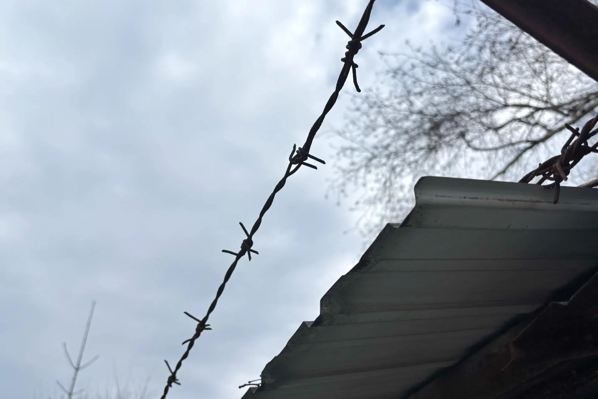 Женщину поместили под стражу после того, как она нанесла мужчине несколько ножевых ранений в голову.