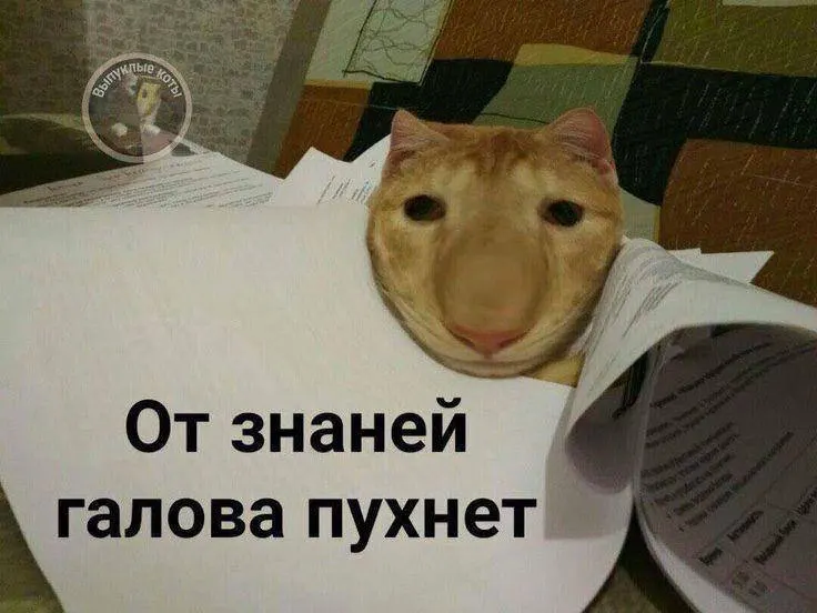 Минспорт планирует ввести в тестовом режиме норматив по управлению небольшим дроном (около 75 мм) уже в этом году. Со следующего года знак ГТО по этому испытанию смогут получить желающие по всей стране, а его обладателям предлагается до 10 дополнительных баллов к результатам экзамена.