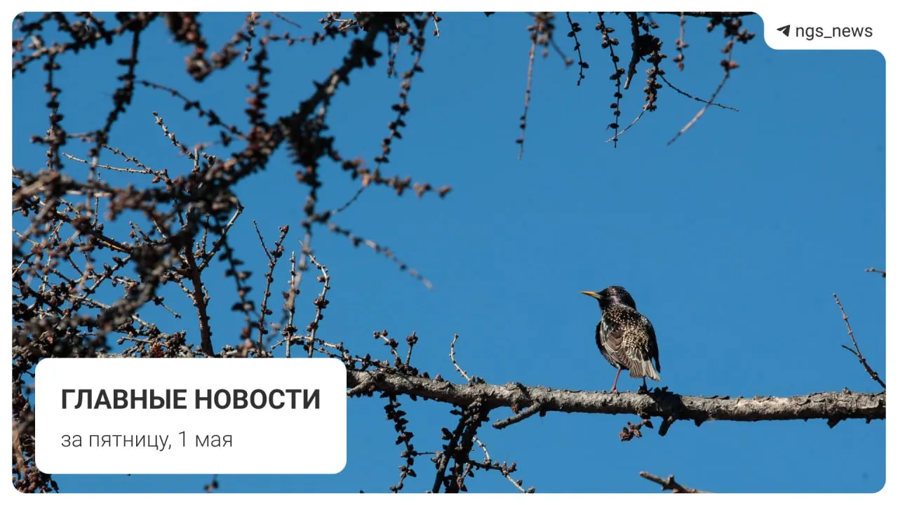 В Татарске в детской спортивной школе частично обрушился потолок — пострадавших нет. Также кратко о метро, фонтане в Центральном парке, первомайском шествии и погроме на площади Маркса.