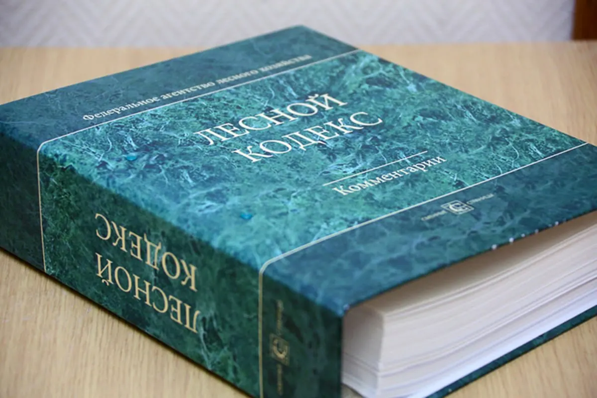 С 2006 года в Лесной кодекс внесено 79 наборов поправок; эксперт по лесному хозяйству считает, что документ следует упростить и создать заново.