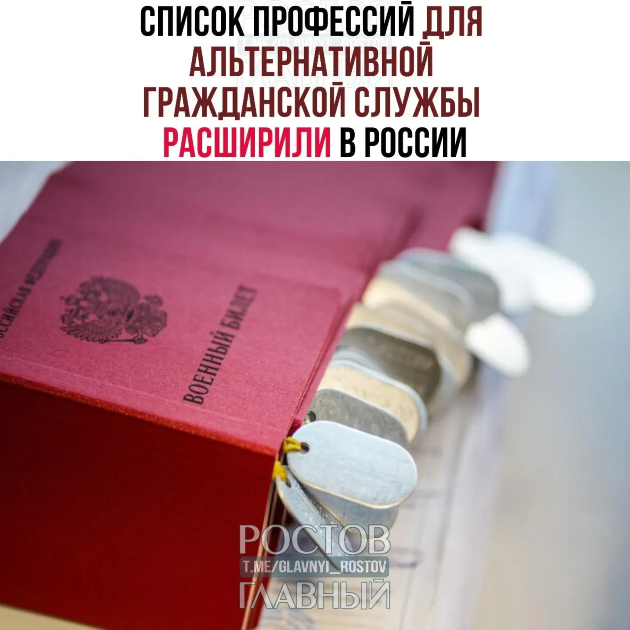 В список добавили медиков, рабочих и специалистов — от травматолога‑ортопеда до настройщика пианино. Ранее в перечне было 271 направление.