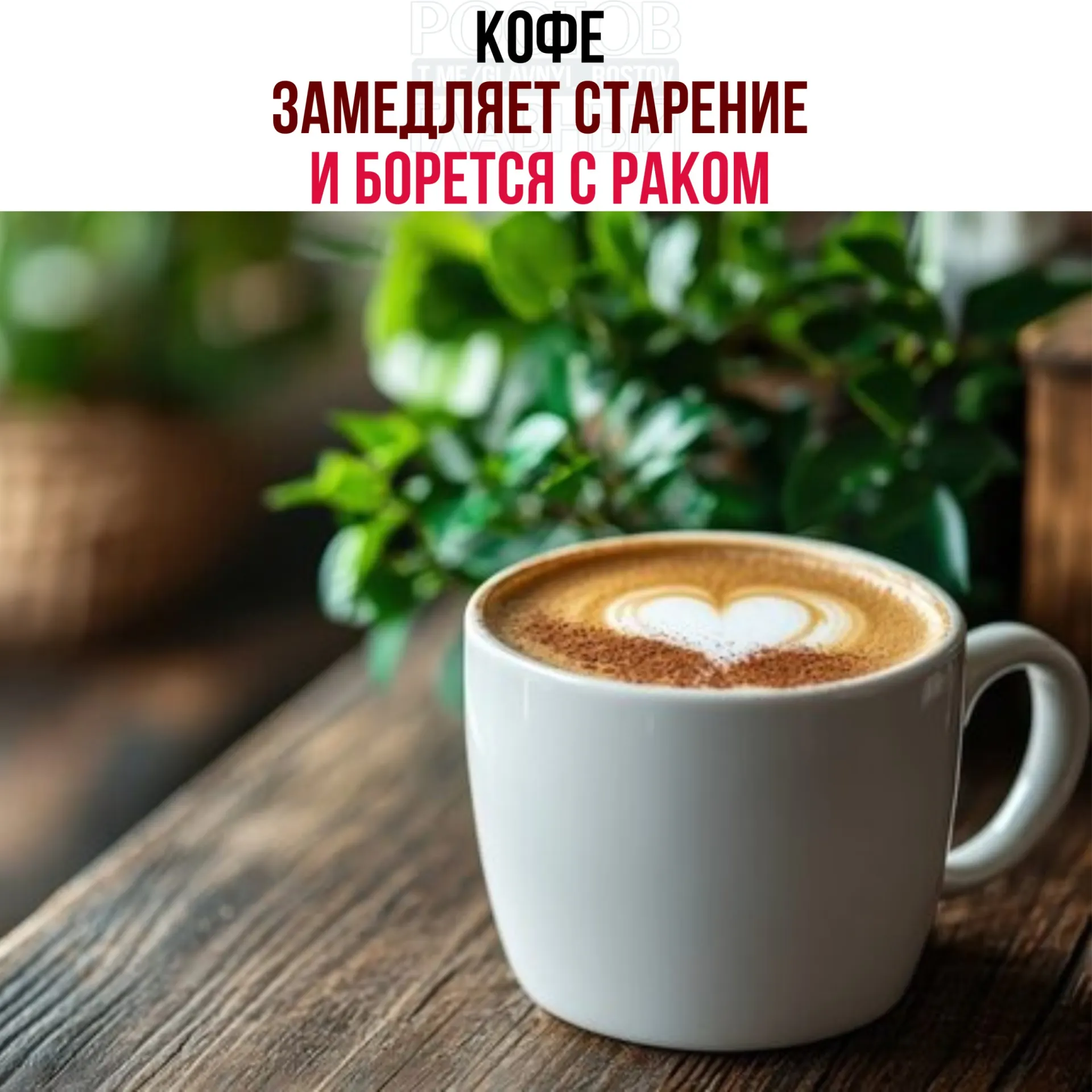 В кофейных зёнах нашли кислоты и полифенолы, усиливающие работу белка NR4A1 и запускающие восстановительные процессы в клетках, что снижает воспаление и замедляет рост опухолевых клеток.
