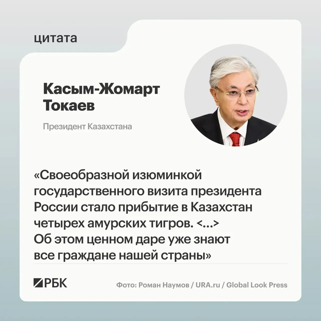 Президентам России и Казахстана показали презентацию о семье амурских тигров, переданных в Астану. Передача животных прошла по просьбе Казахстана о помощи в возрождении вида.
