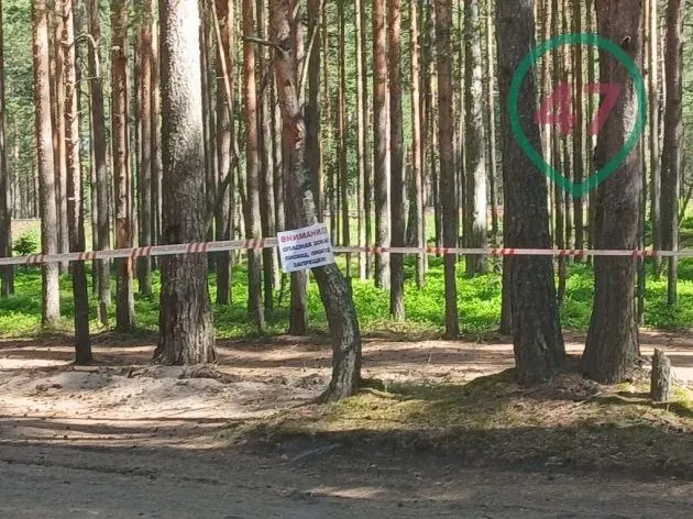 После ночной атаки беспилотников участок дороги 41А-007 и железнодорожная ветка между поселками остаются закрытыми: идут работы по обезвреживанию взрывоопасных предметов, эвакуированных жителей возвращают домой, меняются автобусные и пригородные маршруты.