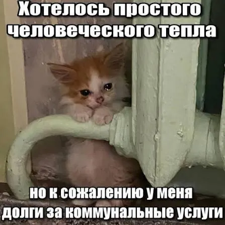Суд подтвердил, что требование о включении в платежные квитанции задолженности по капремонту старше трёх лет нарушает срок исковой давности — такие долги не подлежат принудительному исполнению.