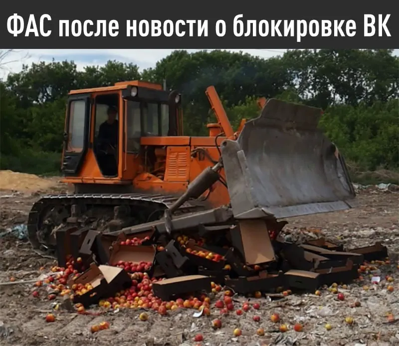 Антимонопольная служба потребовала от Apple устранить дискриминационные условия для российских поисковых систем и предустановку отечественного ПО до 15 июля — в противном случае компании грозит дело и штраф до 4 млрд рублей.