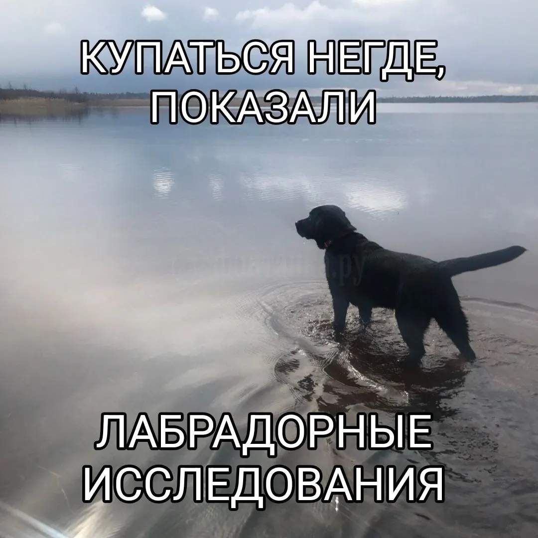 По данным Роспотребнадзора на 6 августа ни один водоём не соответствует санитарным нормам.