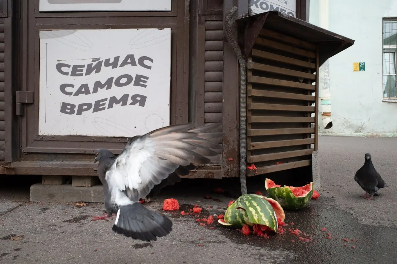 Судебные решения против антивоенного священника, памятные церемонии и политические новости в России и мире.