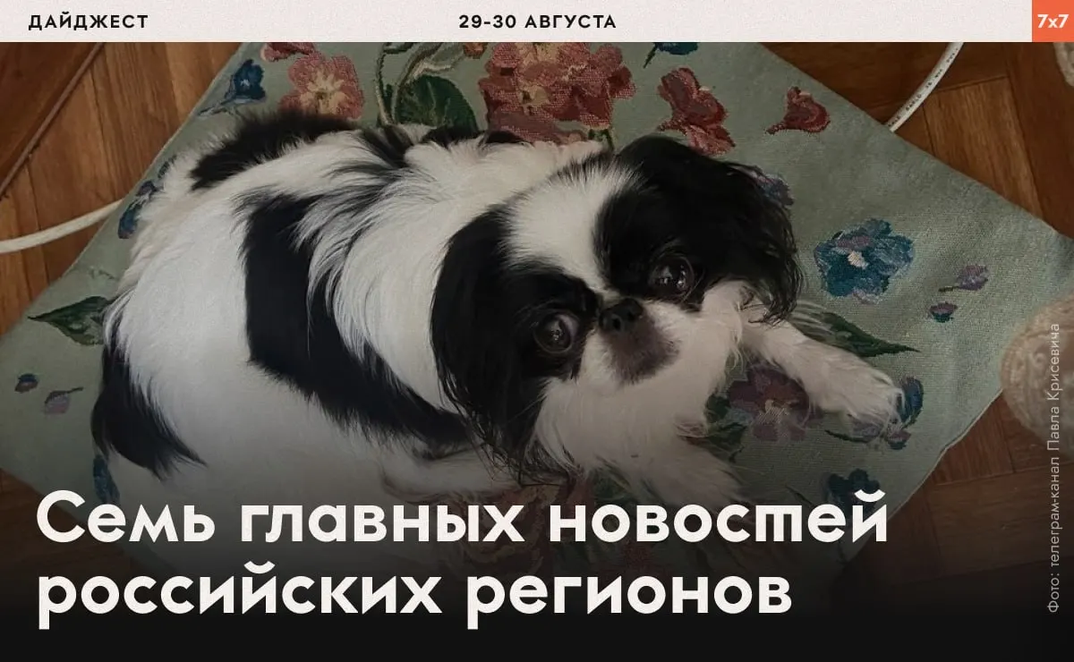 В нескольких регионах зафиксированы эпизоды давления на политических заключённых, аресты активистов и запреты на агитацию, а также региональные инициативы по благоустройству и контролю над публикациями.
