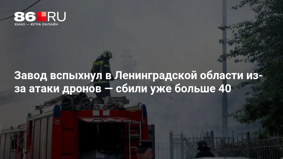 Дроны атаковали завод в Ленинградской области; беспилотники также летели на Москву. Подробности — в нашем материале.