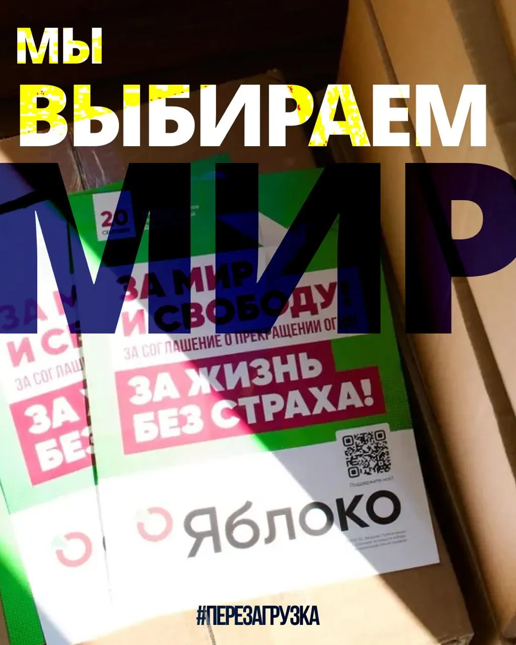 В 53 регионах продолжается кампания партии «Яблоко» с участием 135 кандидатов; в Верховный суд подана апелляция по снятию федерального списка; поддержка растёт.