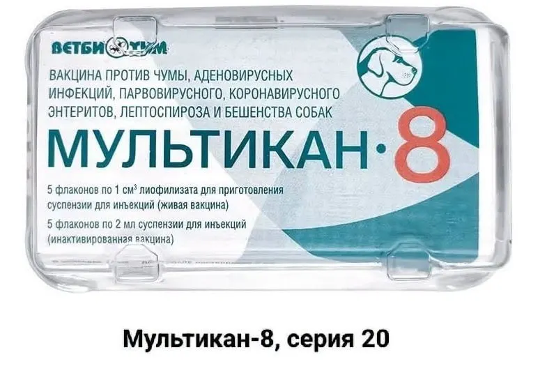 Владельцы собак требуют прозрачного расследования после трагических случаев гибели животных после прививки вакциной «Мультикан-8». Они обращаются к блогерам, активистам и журналистам, требуют независимых тестов на вирус Ауески; случаи зафиксированы в нескольких регионах России.