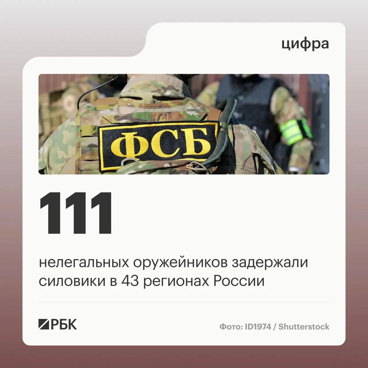 Задержанные занимались восстановлением боевых характеристик гражданского оружия в подпольных мастерских и его продажей; ликвидированы 37 подпольных мастерских.