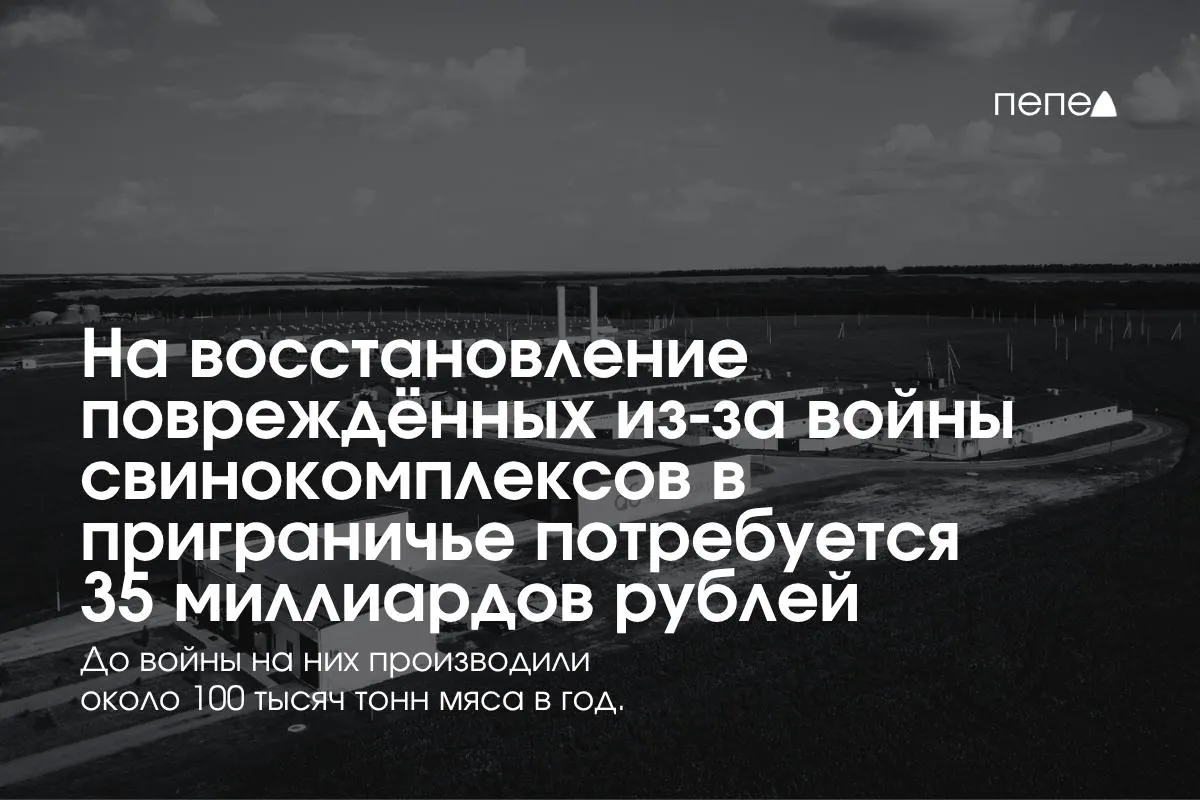 Расходы на безопасность и реконструкцию оцениваются в 35 млрд рублей. Три приграничные области обеспечивают почти четверть мясной продукции России; Белгородская область — около 16,8% объёмов.